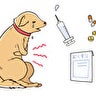 犬の下痢